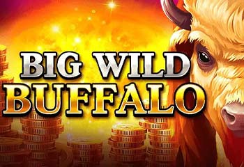 Big Wild Buffalo